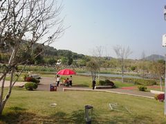 -牛岗山公园