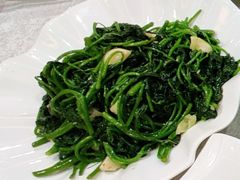 炒番薯叶-小榄公饭店(西区彩虹店)