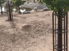 -太原动物园