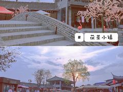 -茯茶镇