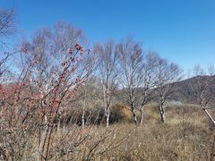 -灵山
