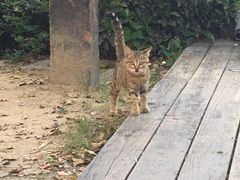 -天目湖涵田度假村