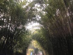 -漫山居私汤民宿全竹宴