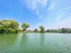 -西溪国家湿地公园