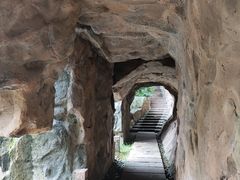 -张坝桂圆林公园