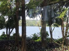 景观位-悦湖公馆