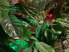 -泉城欧乐堡戏水湾艺术养生温泉