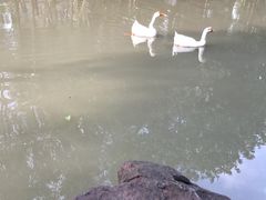 -大宁灵石公园西门票处