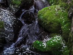 -四明山国家森林公园