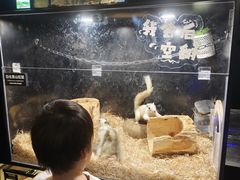 -太平洋海底世界