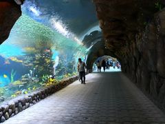 -华夏文旅海洋公园