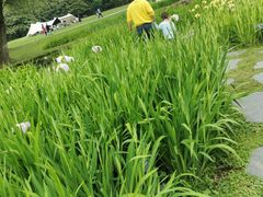 -共青国家森林公园-售票处