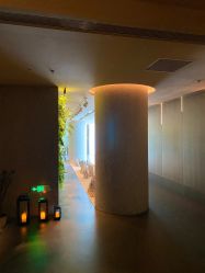 -VELEE·SPA高定疗愈会所