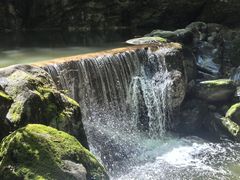 -牛背梁国家森林公园