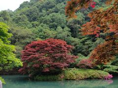 -杭州西湖东坡酒店