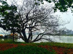 -云龙湖旅游景区