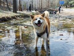 -白水寺森林公园