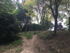 -美兰湖景区
