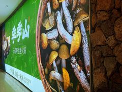 -季季山·云南野生菌火锅(上海首店)