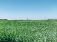 景点-哈素海