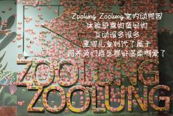 -Zoolung Zoolung动物主题公园(海信广场店)