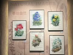 -四川大学博物馆