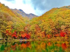 -关门山森林公园
