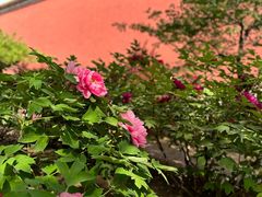 -北京市劳动人民文化宫(太庙)