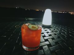 -苏州金鸡湖文博诺富特酒店