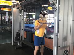 器械区-力美健健身俱乐部(金碧店)