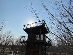 -东郊湿地公园