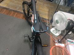 -道路口单车爱瓦士dahon大行