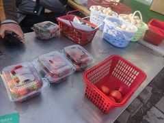 -大自然农场蔬菜草莓采摘园