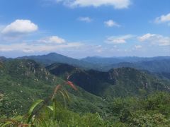 -大岭沟猕猴桃谷风景区
