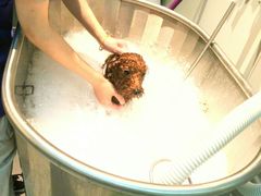 -PETKIT 小佩宠物·低压洗护·美容·寄养(安远店)