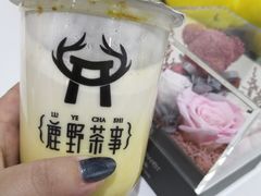 -鹿野茶事(开元盛世店)
