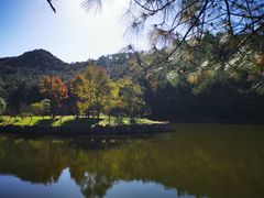 -黄陂区野村谷景区