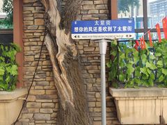 -世园罗曼小镇