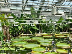 -国家植物园南园