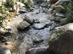 -抱龙峪
