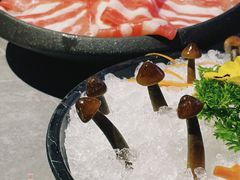 -故里和山·成都火锅(欢乐港湾店)