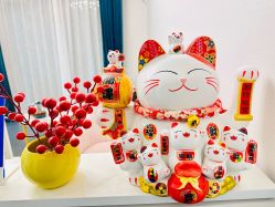 -莲芸拔罐减肥