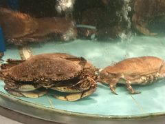 -花开富贵平潭海鲜楼(平潭店)