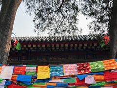 -西安市广仁寺