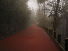 -敬亭山风景名胜区