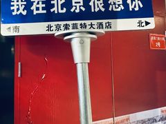 -北京索菲特大酒店