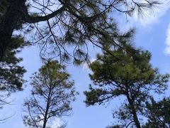 -美兰湖景区