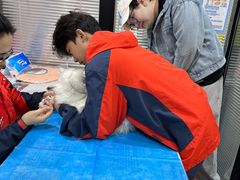 -伟伟宠物医院·CT影像中心·瑞派犬猫综合性门诊(汉口总院)