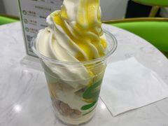 -Salud撒露欧洲冻酸奶(五道口购物中心店)