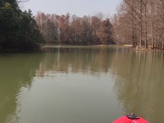 -上海海湾国家森林公园